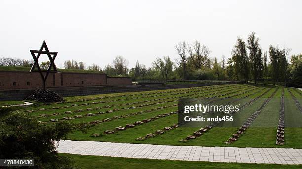 jewish memorial graveyard at theresienstadt concentration camp terezin, czech republic - anti semitism stock pictures, royalty-free photos & images