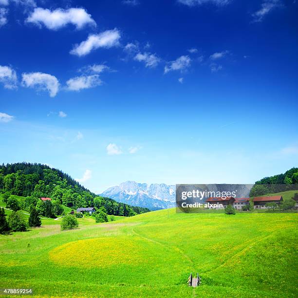 alpine landschaft - bayerischer wald stock-fotos und bilder