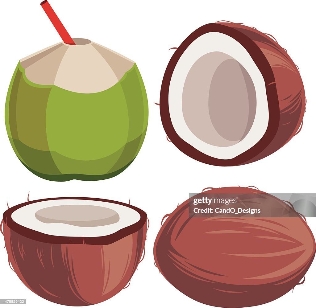 Coconut Cartoon High-Res Vector Graphic - Getty Images
