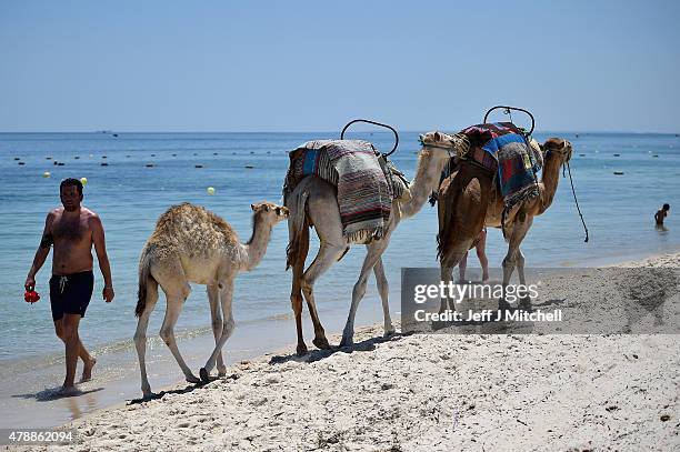 Camels are walked along Marhaba beach where 38 people were killed on Friday in a terrorist attack on June 28, 2015 in Souuse, Tunisia. Sousse beaches...