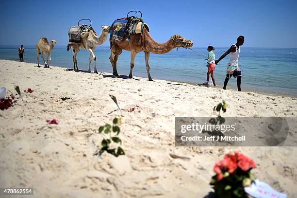Camels are walked along Marhaba beach where 38 people were killed on Friday in a terrorist attack on June 28, 2015 in Souuse, Tunisia. Sousse beaches...