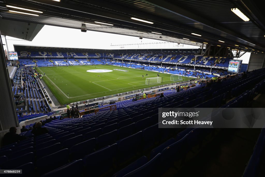 Everton v Cardiff City - Premier League