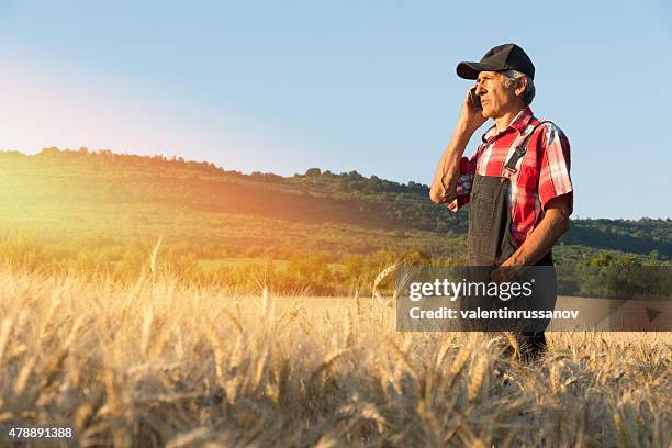 farmer over looking the success of his crops - farmers insurance stock pictures, royalty-free photos & images