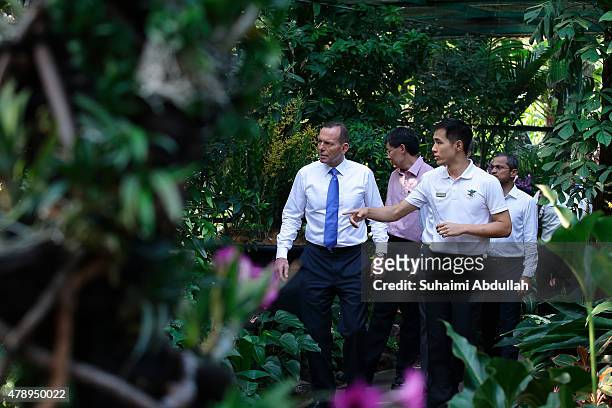 Australian Prime Minister Tony Abbott tours the orchid garden at the National Orchid Garden on June 29, 2015 in Singapore. Australian Prime Minister...