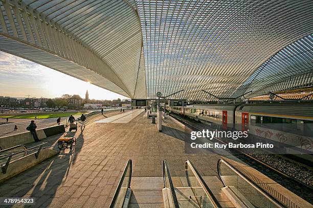 Liège-Guillemins train station is the main station of the city of Liège, in eastern Belgium. It is one of the most important hubs in the country and...