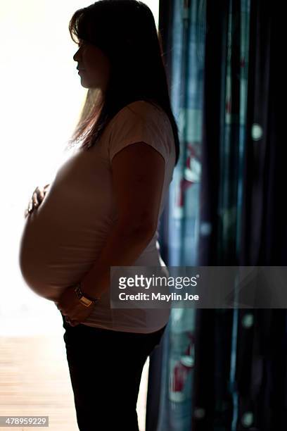 Months pregnant woman standing against window.