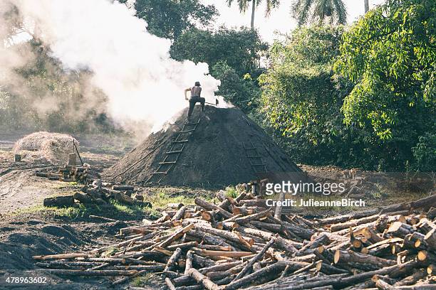 feeding the fire, cuba - kiln stock pictures, royalty-free photos & images