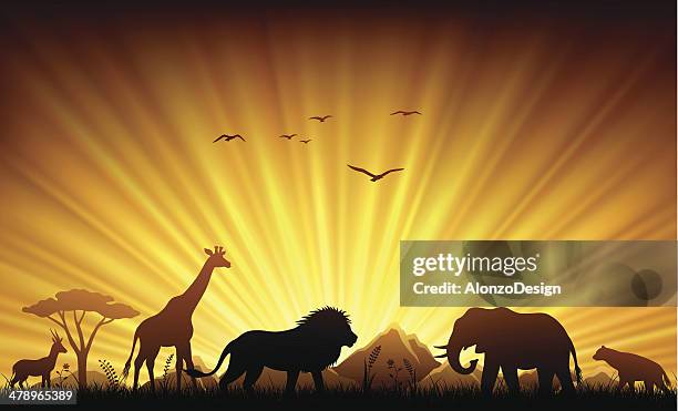 afrikanische tiere im sonnenuntergang - hyena stock-grafiken, -clipart, -cartoons und -symbole