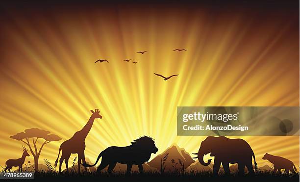 stockillustraties, clipart, cartoons en iconen met african animals in sunset - safaridieren