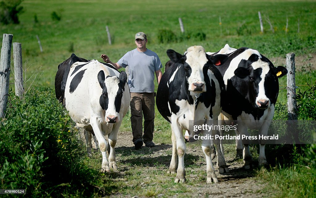 Sheepscot Valley Farm in Whitefield