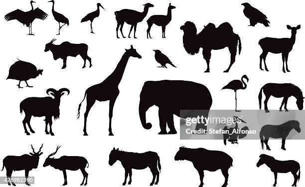 verschiedene tiere silhouetten isoliert auf weiss - guineafowl stock-grafiken, -clipart, -cartoons und -symbole