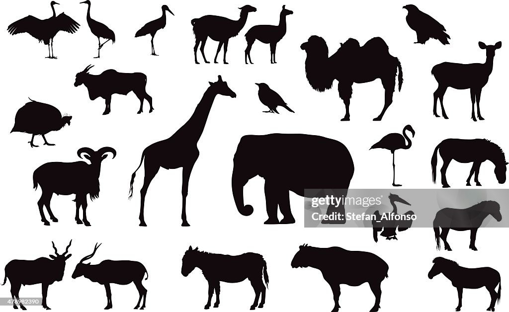 Varios animales siluetas aisladas en blanco
