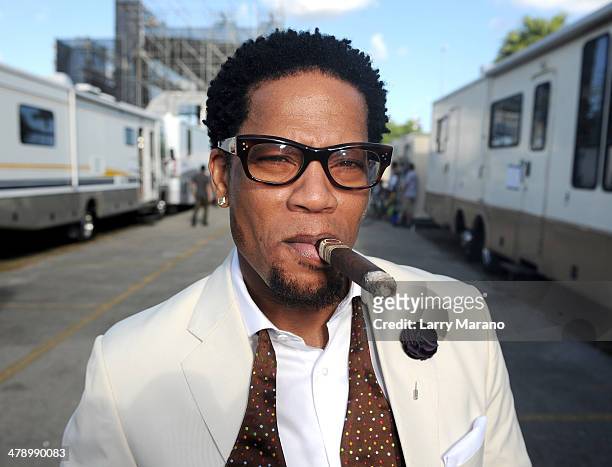 Host D.L. Hughley attends Day 1 of Jazz In The Gardens at Sun Life Stadium on March 15, 2014 in Miami Gardens, Florida.