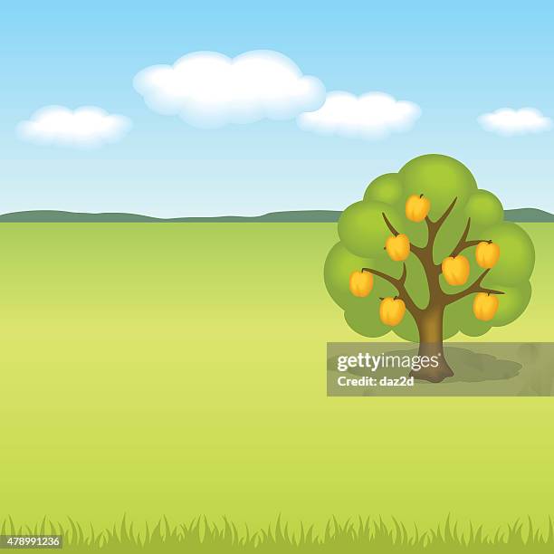 ilustrações, clipart, desenhos animados e ícones de paisagem com árvore de pêssego - abricoteiro