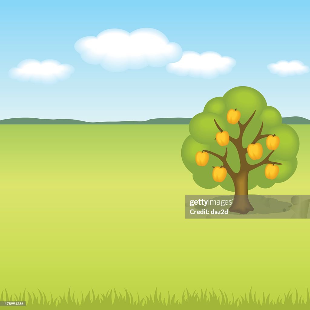 Landscape With Peach Tree
