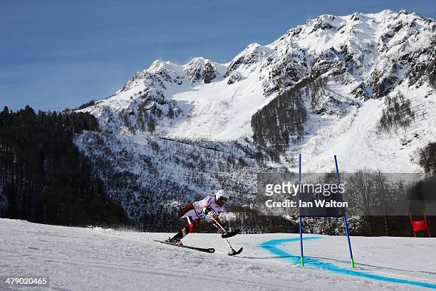 Anna Jochemsen of the Netherlands competes in the Women's Giant Slalom Standing during day nine of the Sochi 2014 Paralympic Winter Games at Rosa...
