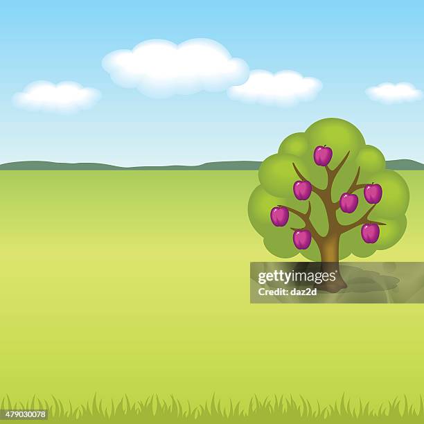landscape with plum tree - rustic plums stock illustrations
