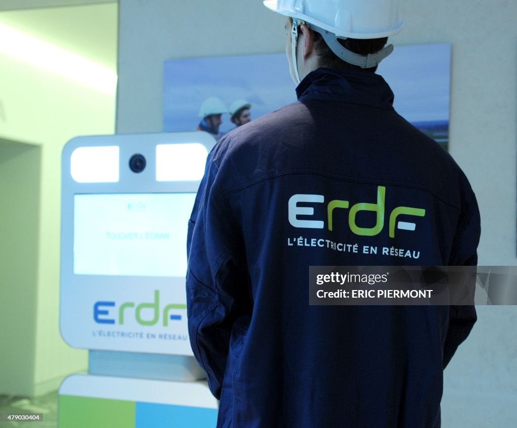 FRANCE-ENERGY-ERDF-LOGO