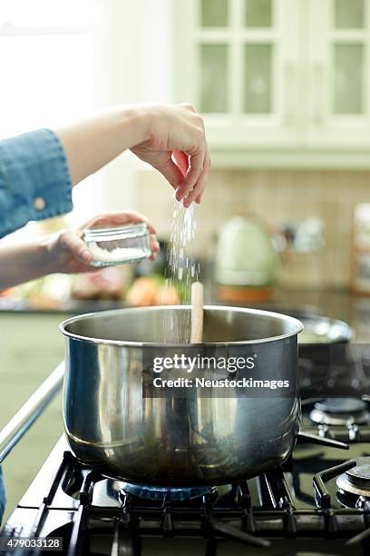 mulher adicionando uma pitada de sal em uma panela de cozinhar em um fogão - sal de cozinha - fotografias e filmes do acervo