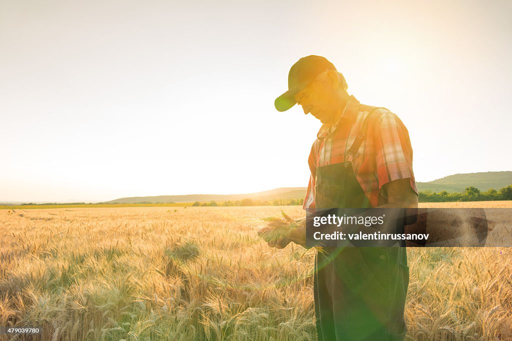 Farmer over looking the success of his crops