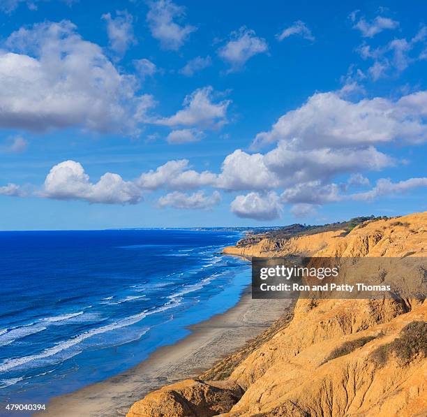 torrey pines state natural reserve, pacific ocean, ca,(p) - san diego landscape stock pictures, royalty-free photos & images