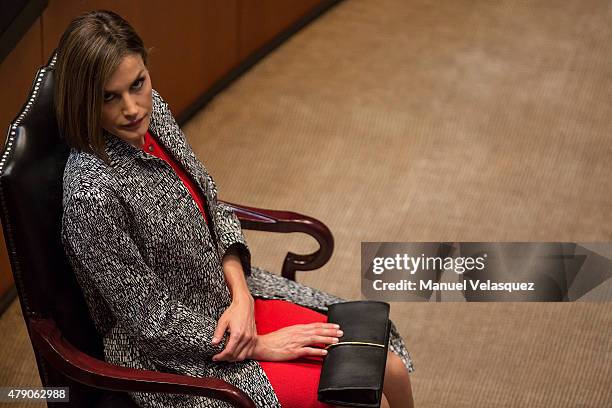 Queen Letizia looks on during a speech aimed to the members of Mexican Senate at Senate on June 30, 2015 in Mexico City, Mexico. The Spanish Monarchs...