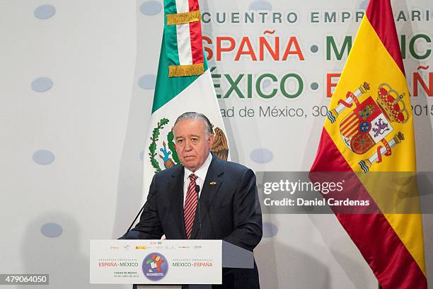 Mexican business Council of Trade Foreign Valentin Diez gives a speech during the Business Forum at Presidente Hotel on June 30, 2015 in Mexico City,...
