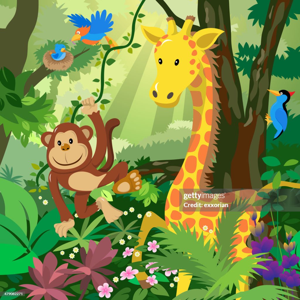 Animales De Dibujos Animados En La Selva Ilustración de stock - Getty Images