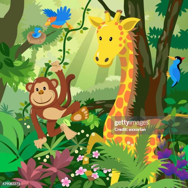 331点のアマゾン熱帯雨林イラスト素材 Getty Images 331点のアマゾン熱帯雨林イラスト素材 Getty Images