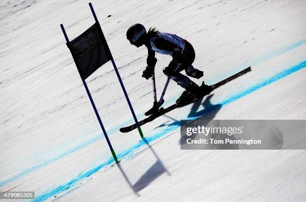 Melanie Schwartz of the United States competes in the Women's Giant Slalom Standing during day nine of the Sochi 2014 Paralympic Winter Games at Rosa...