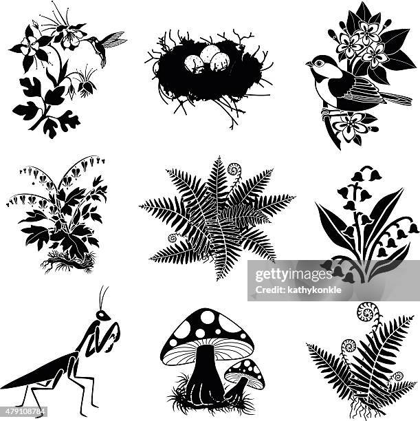 north american wildlife and plants in black and white - tits stock illustrations