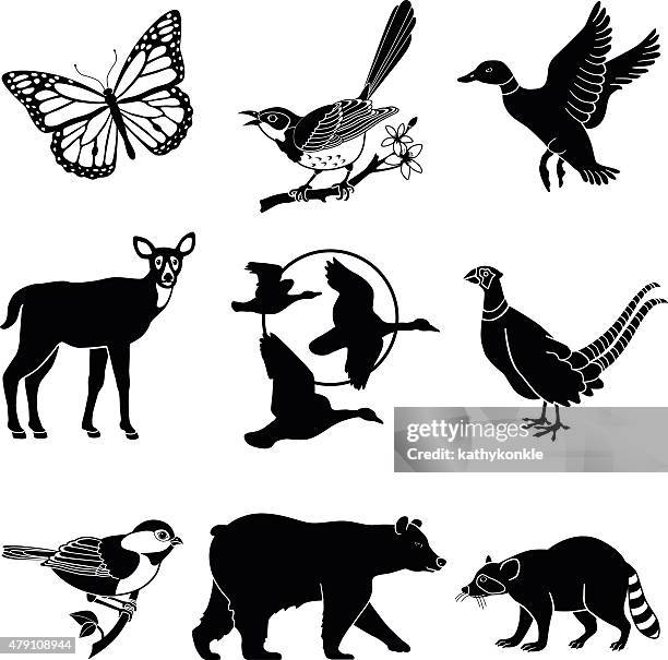 north american-set in schwarz und weiß - pheasant bird stock-grafiken, -clipart, -cartoons und -symbole