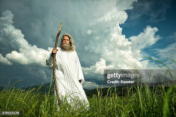 de pêlo comprido profeta em pé na frente do céu dramático - sorcerer imagens e fotografias de stock