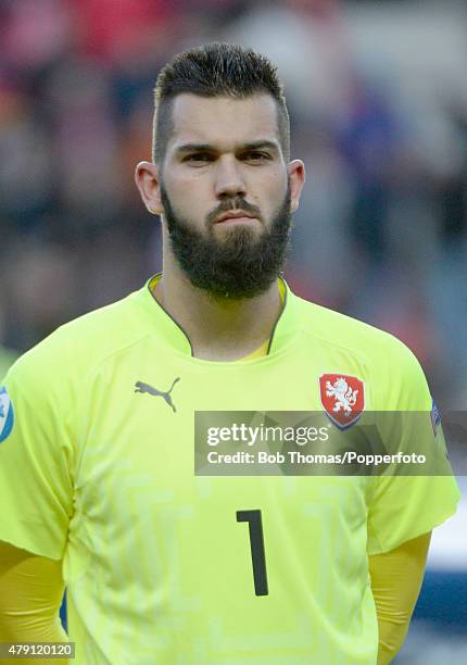 Goalkeeper Tomas Koubek of the Czech Republic before the UEFA European Under-21 Group A match between Germany and Czech Republic at Eden Stadium on...