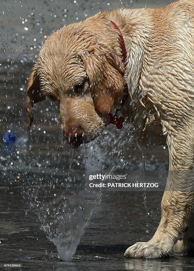 FRANCE-WEATHER-CLIMATE-HEATWAVE