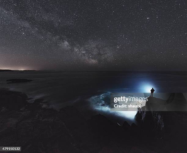 searching the atlantic - vangen stockfoto's en -beelden