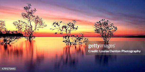 rapid creek sunset - darwin stockfoto's en -beelden