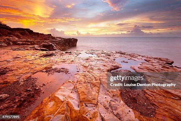 gold - darwin stockfoto's en -beelden