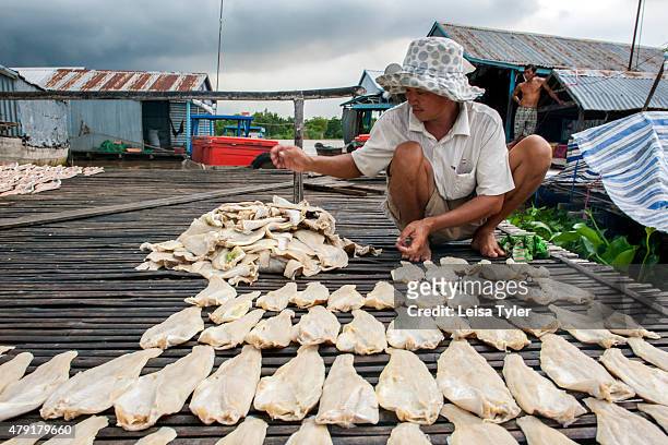 Drying catfish fillets on the deck of a floating village in Chao Doc, a town on the Mekong Delta in Vietnam. Around 1.1 million tonnes of catfish are...