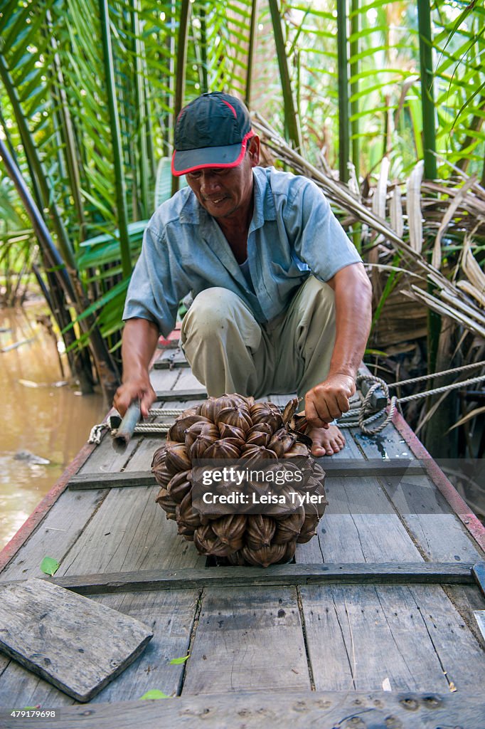 A man cutting open a water coconut on a back canal in Ben...