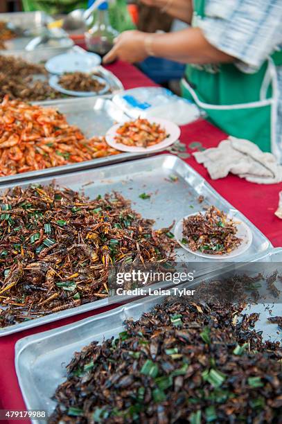 Fried cockroaches and other insects for sale at a night market set up long the Mekong River in the Issarn town of Nong Khai.