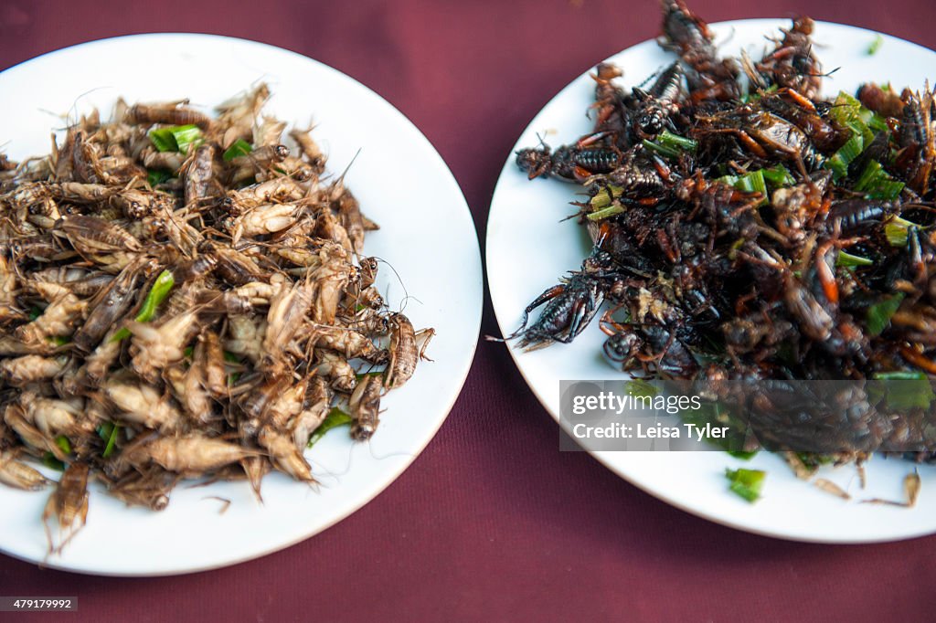 Cockroach Recipe Fried Cockroach Recipe