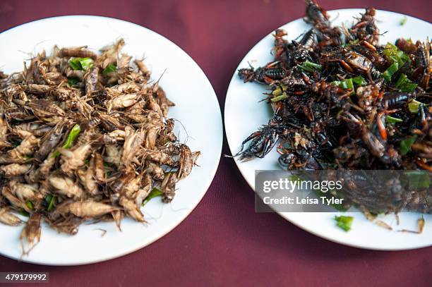 Fried cockroaches and cicadas for sale at a night market set up long the Mekong River in the Issarn town of Nong Khai.