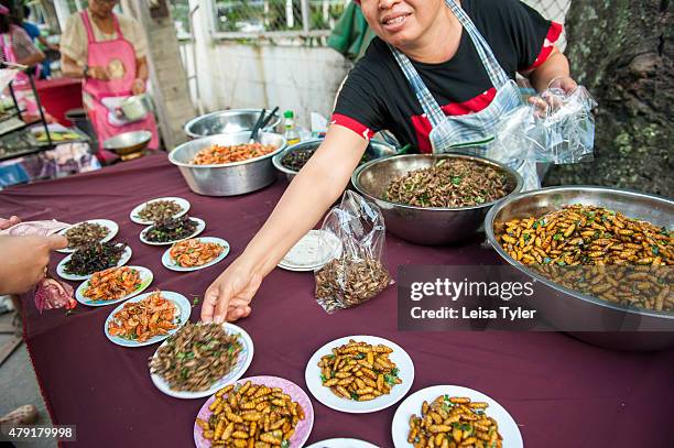 Fried cockroaches, cicadas and other wood grubs for sale at a night market set up long the Mekong River in the Issarn town of Nong Khai.