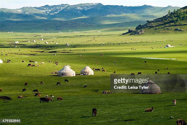 Nomad yurts, sheep and camels in the Kanas Valley at the Altai Mountains near the very northern tip of Xinjiang Province bordering Kazakhstan,...