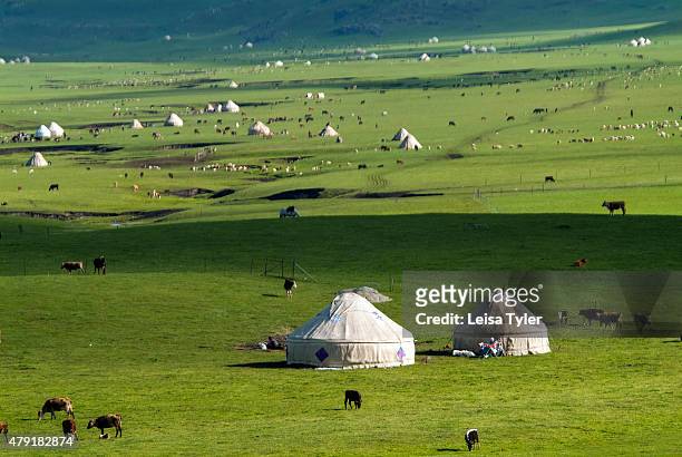 Nomad yurts, sheep and camels in the Kanas Valley at the Altai Mountains near the very northern tip of Xinjiang Province bordering Kazakhstan,...