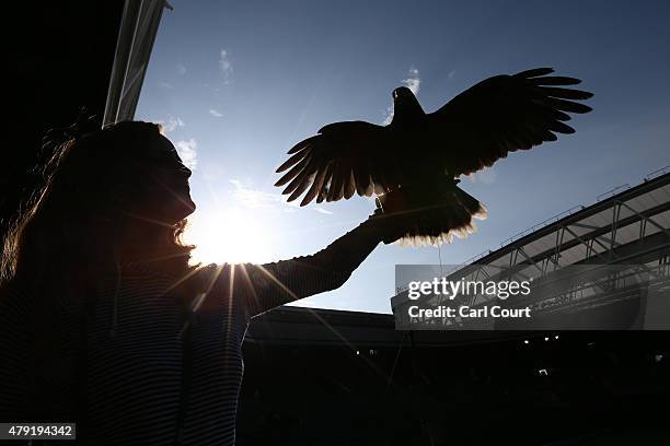 Imogen Davis holds Rufus the Harris Hawk on centre court where it is used to scare away pigeons, ahead of play on day four of the Wimbledon Lawn...