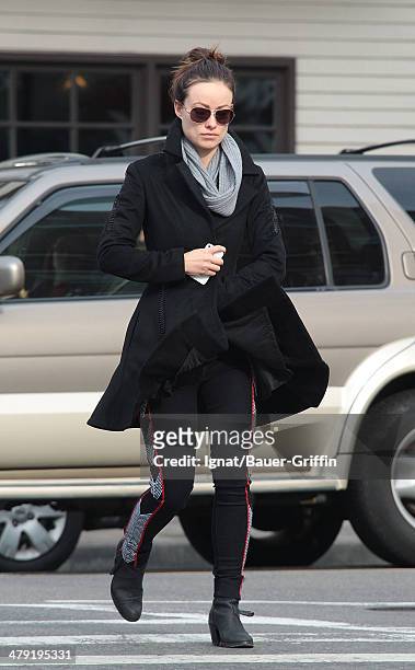 Olivia Wilde is seen on November 18, 2012 in New York City.