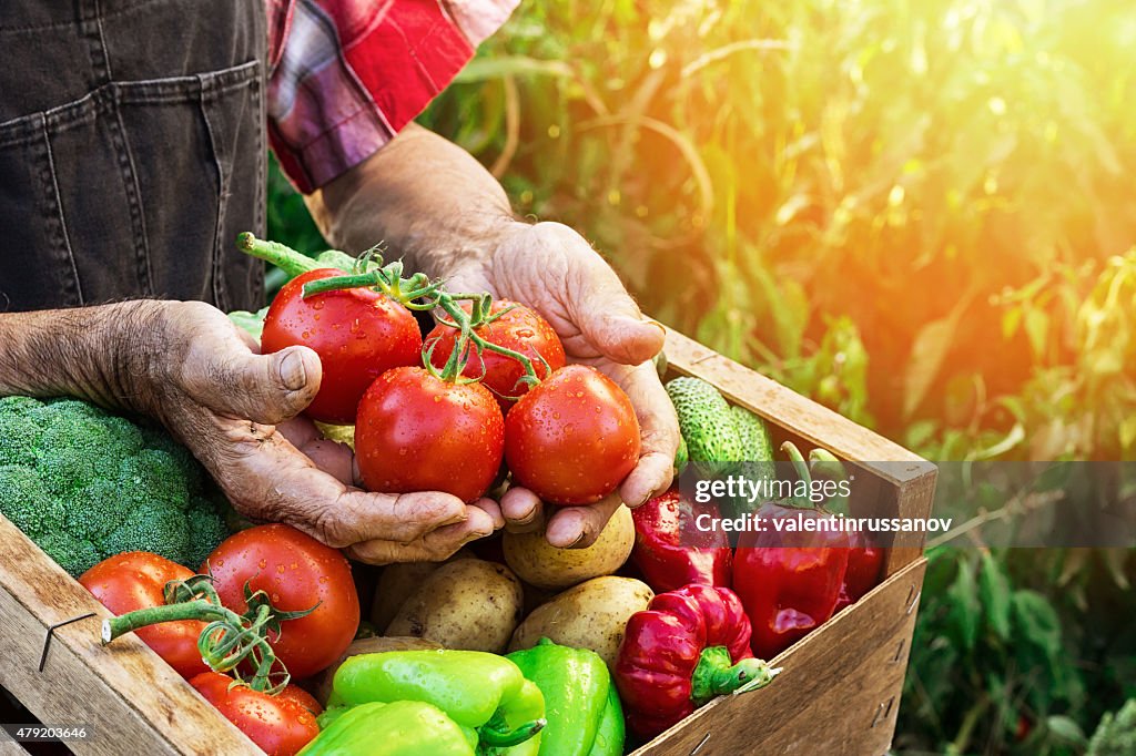 Crate with vegetables