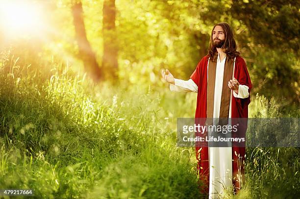 christ - the light of the world - sash stock pictures, royalty-free photos & images